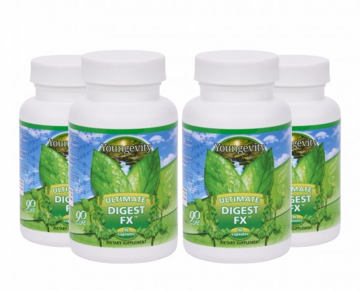 Maintain a Healthy Digestive System